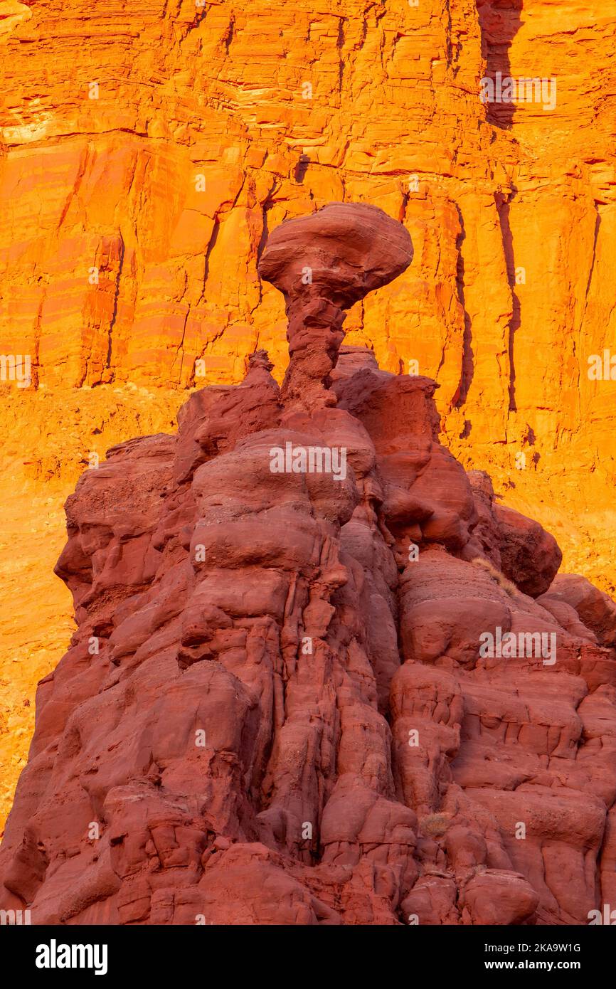 A Cutler sandstone hoodoo called the Starship Enterprise in the Fisher Towers at sunset near Moab, Utah. Stock Photo