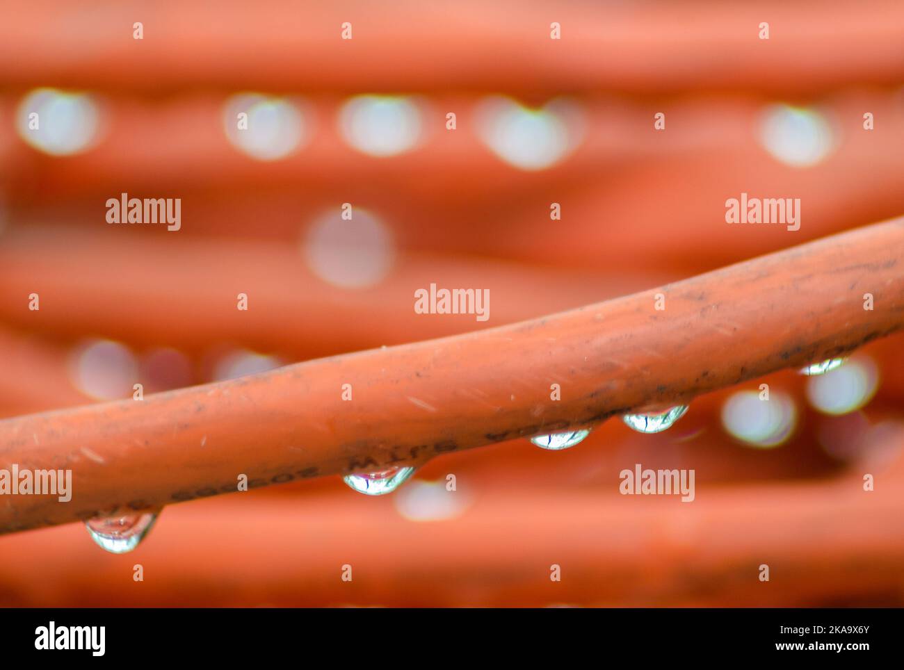 An electric extension cord sits piled on an outdoor table (unplugged of