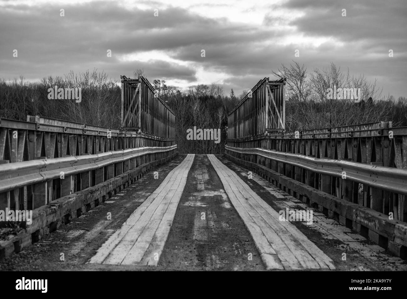 Bridge leading into the trees Black and White Stock Photos & Images - Alamy