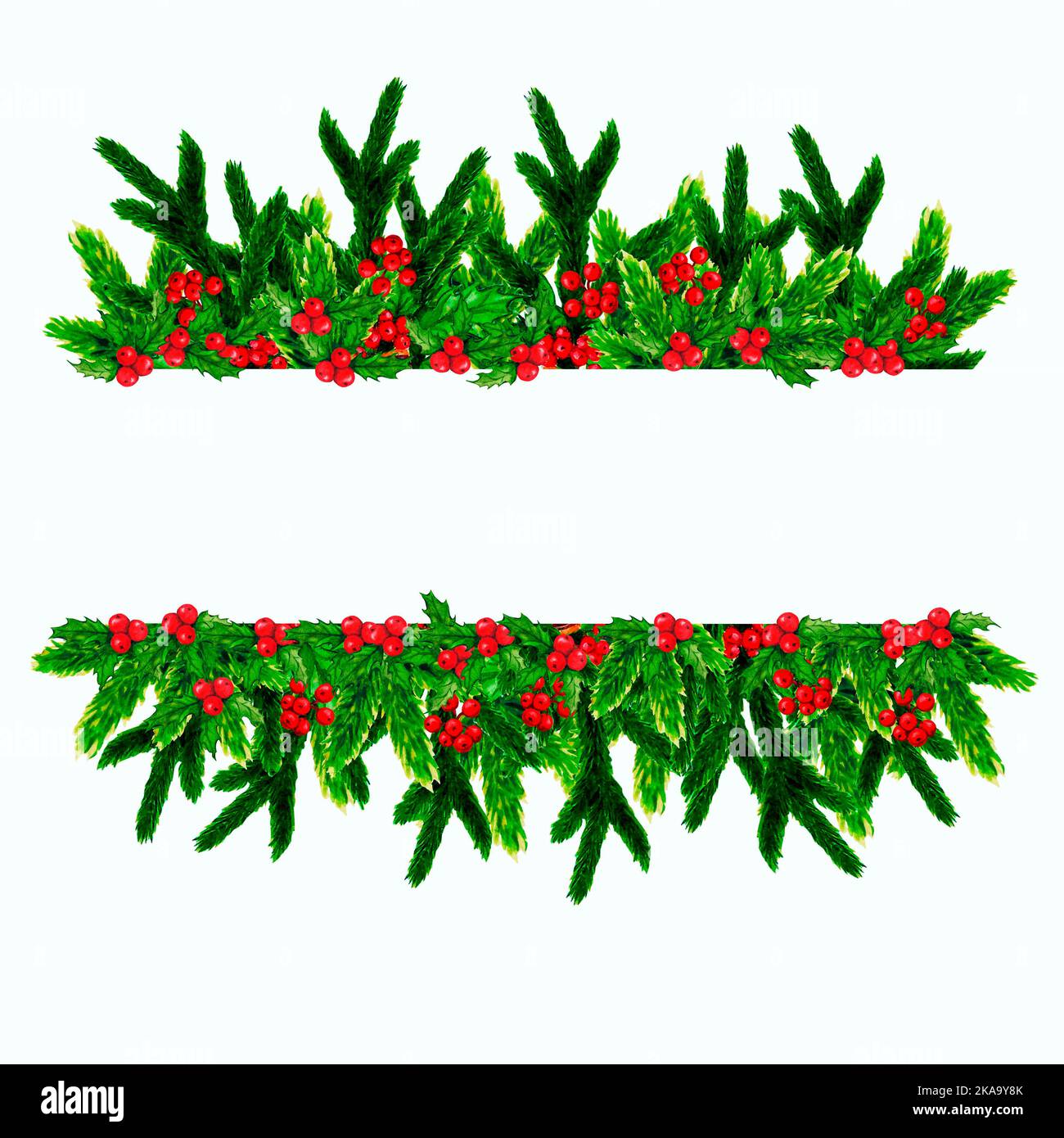 Watercolor Christmas floral banner. Border with holly berries and fir ...