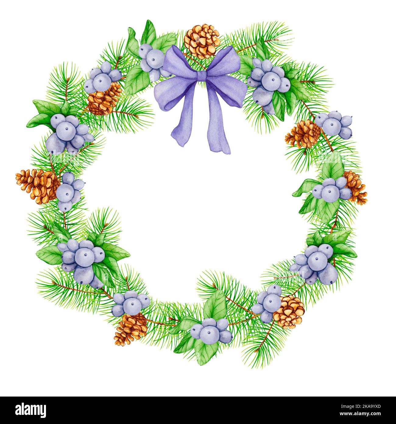 Christmas wreath of pine branches and cones and black berries ...