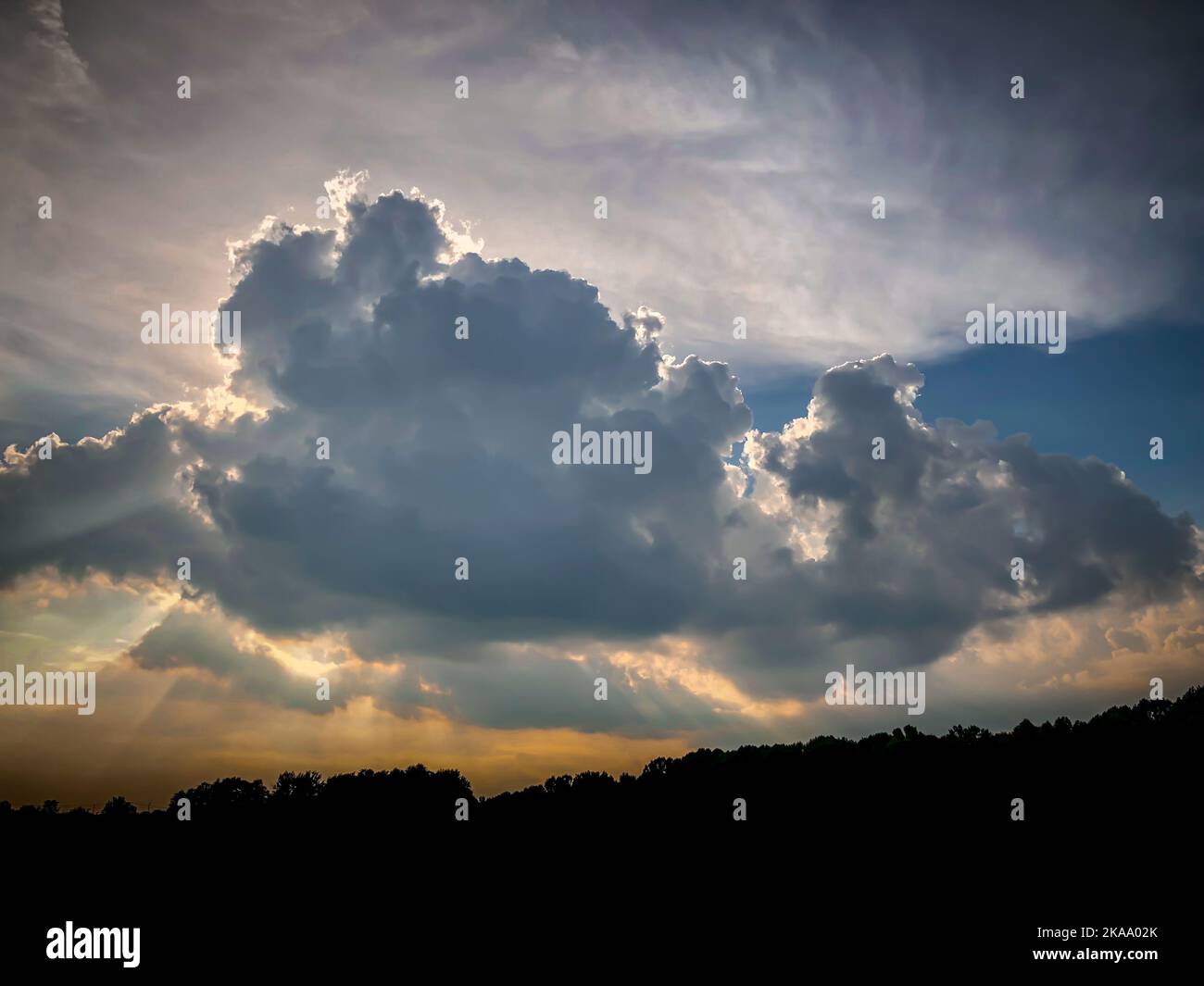 An aerial view of a beautiful forest during sunset Stock Photo - Alamy