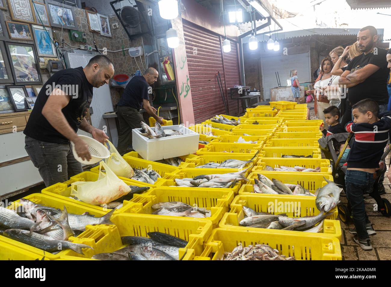 Acre, Israel - November 01, 2022, Fish market on a day off. Different varieties of fresh fish in boxes with ice. Sellers sell to buyers Stock Photo