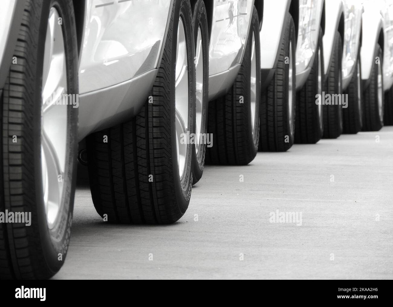 Wheels of the same white cars laid out in lines on the asphalt Stock
