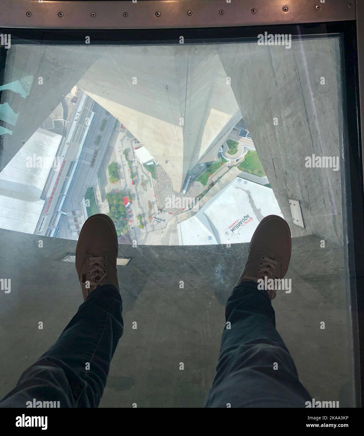 GLASS FLOOR OF THE CN TOWER DURING SUMMER Stock Photo Alamy