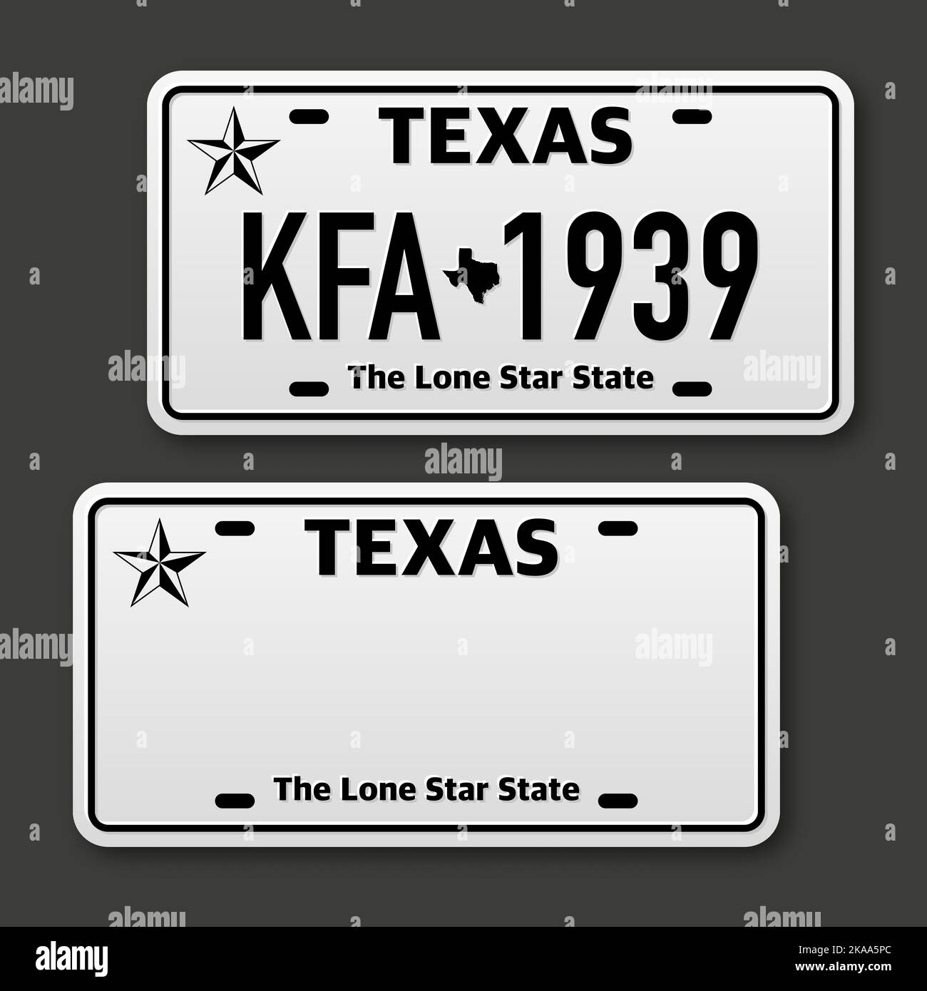 Retro car plate for banner design. Texas state. Isolated vector illustration. Business, icon set Stock Vector