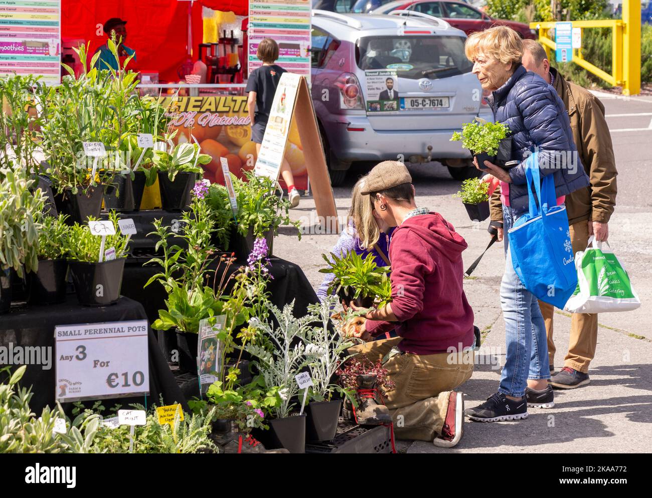 Queue of people buying herbs and plants at country market stall Stock Photo