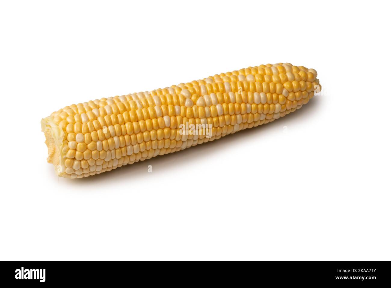 Yellow sweet corn isolated on a white background. Copyspace. Stock Photo