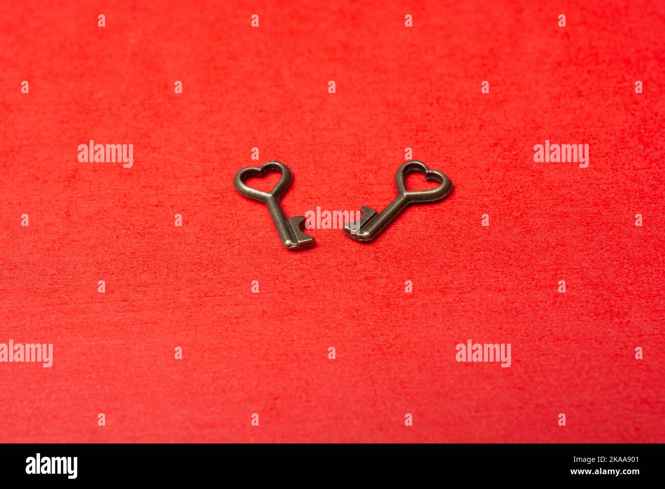 Pair of keys with heart shape icon as love icon and romance concept ...