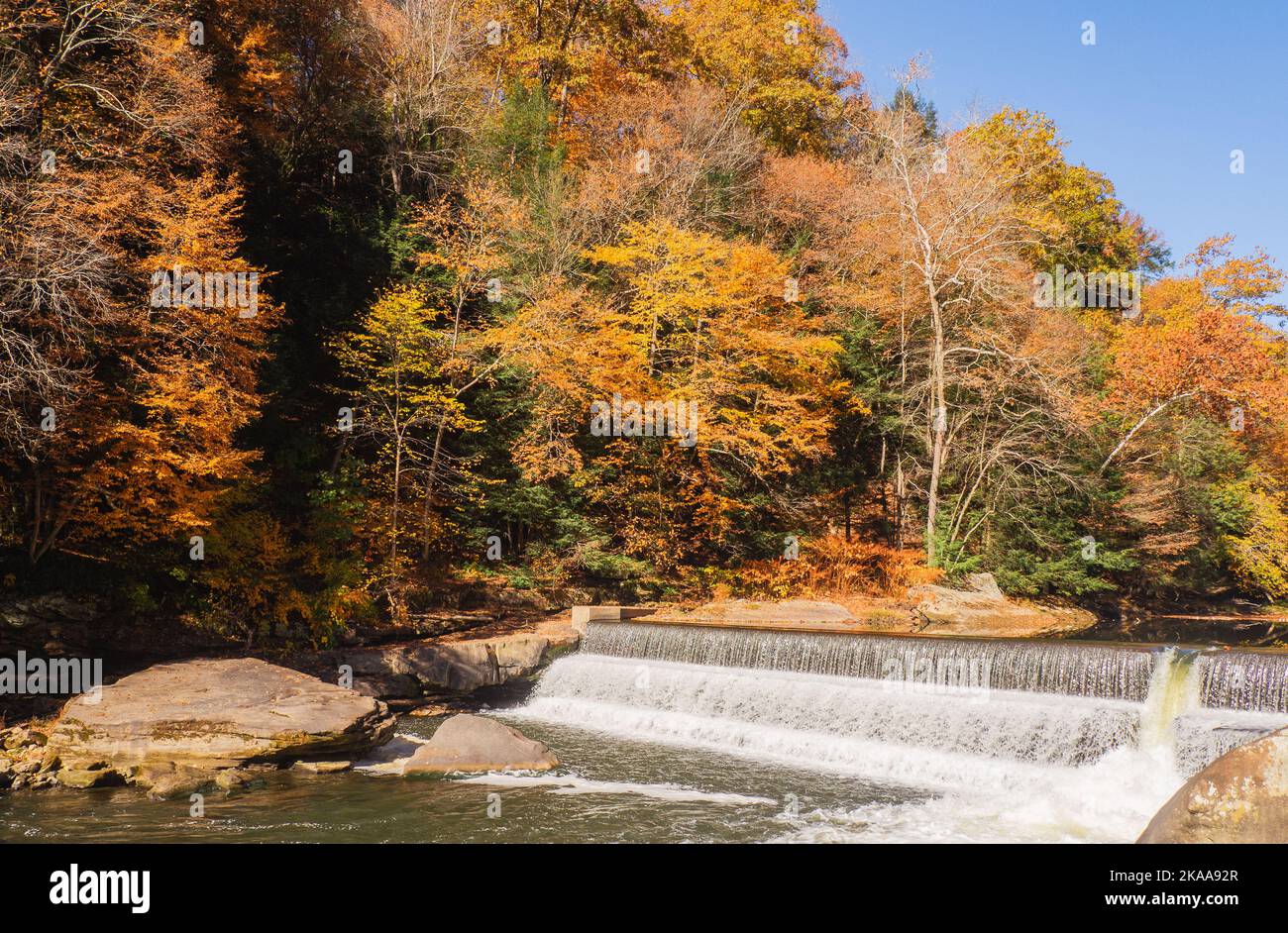 beautiful waterfall in autumn forest Stock Photo - Alamy