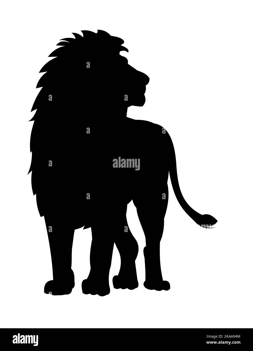 Lion with lush mane. African savanna predator. Silhouette picture. Dangerous animal in natural conditions. Isolated on white background. Vector Stock Vector