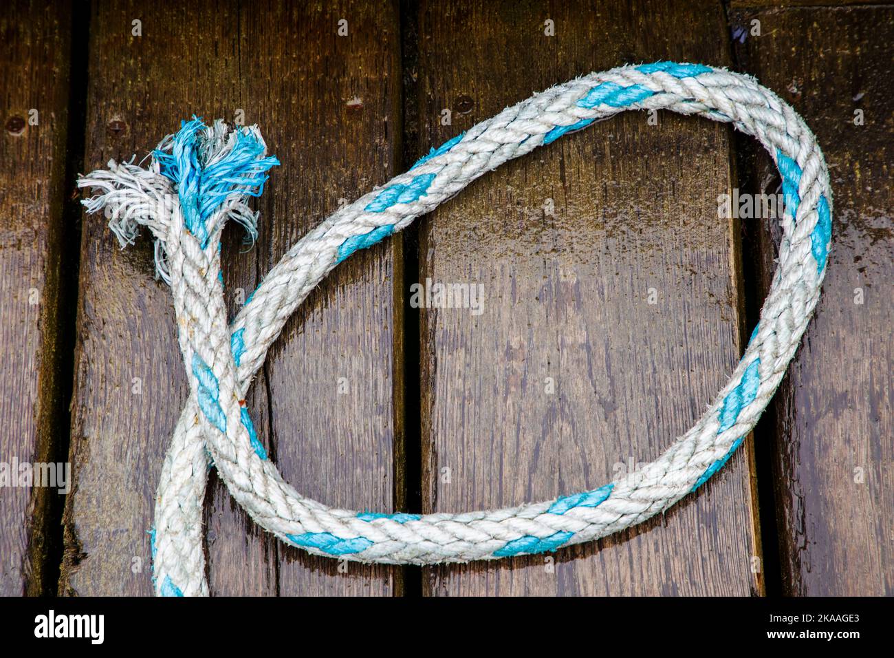 Colorful ropes and rigging. Charter and commercial fishing boats in the harbor, Kodiak, Alaska, USA. Stock Photo