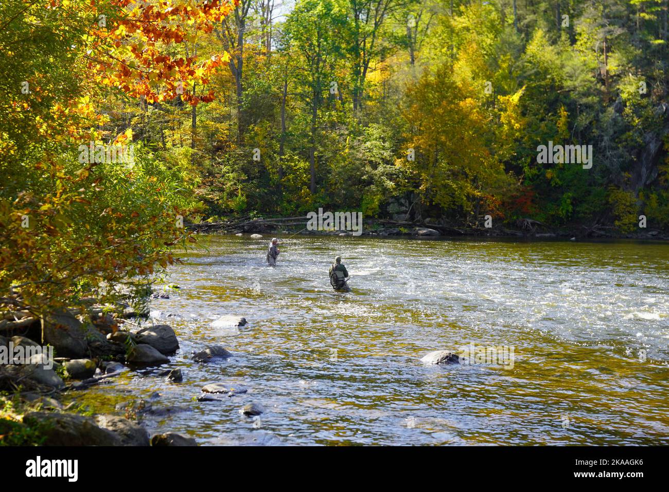 Two fly fishermen in a river in New England Stock Photo