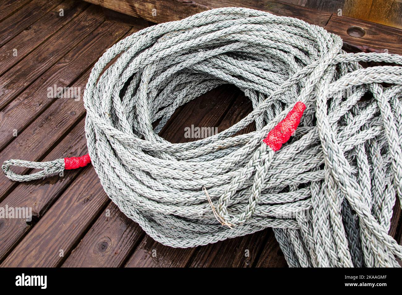 Colorful ropes and rigging. Charter and commercial fishing boats in the harbor, Kodiak, Alaska, USA. Stock Photo
