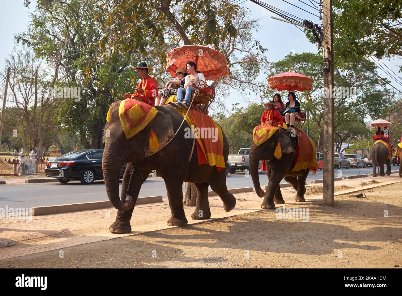 Elephant back rides hi-res stock photography and images - Alamy