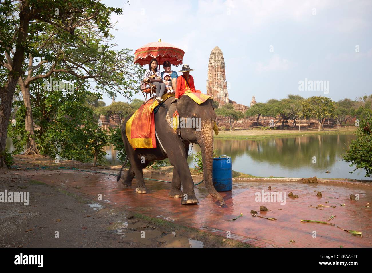 Elephant back ride hi-res stock photography and images - Alamy