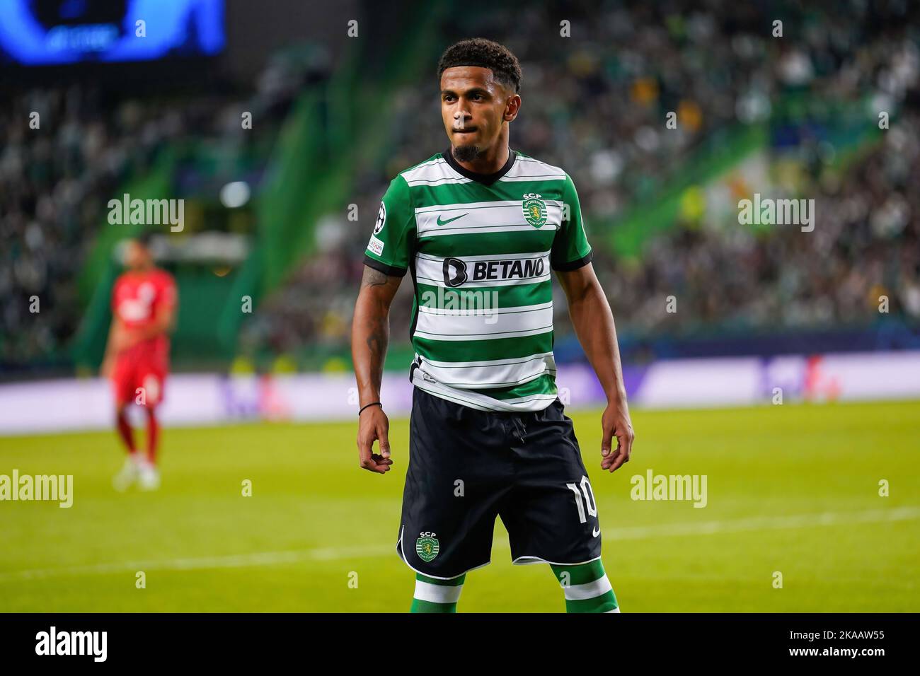 Lisbon, Portugal. 01st Nov, 2022. Marcus Edwards from Sporting CP seen
