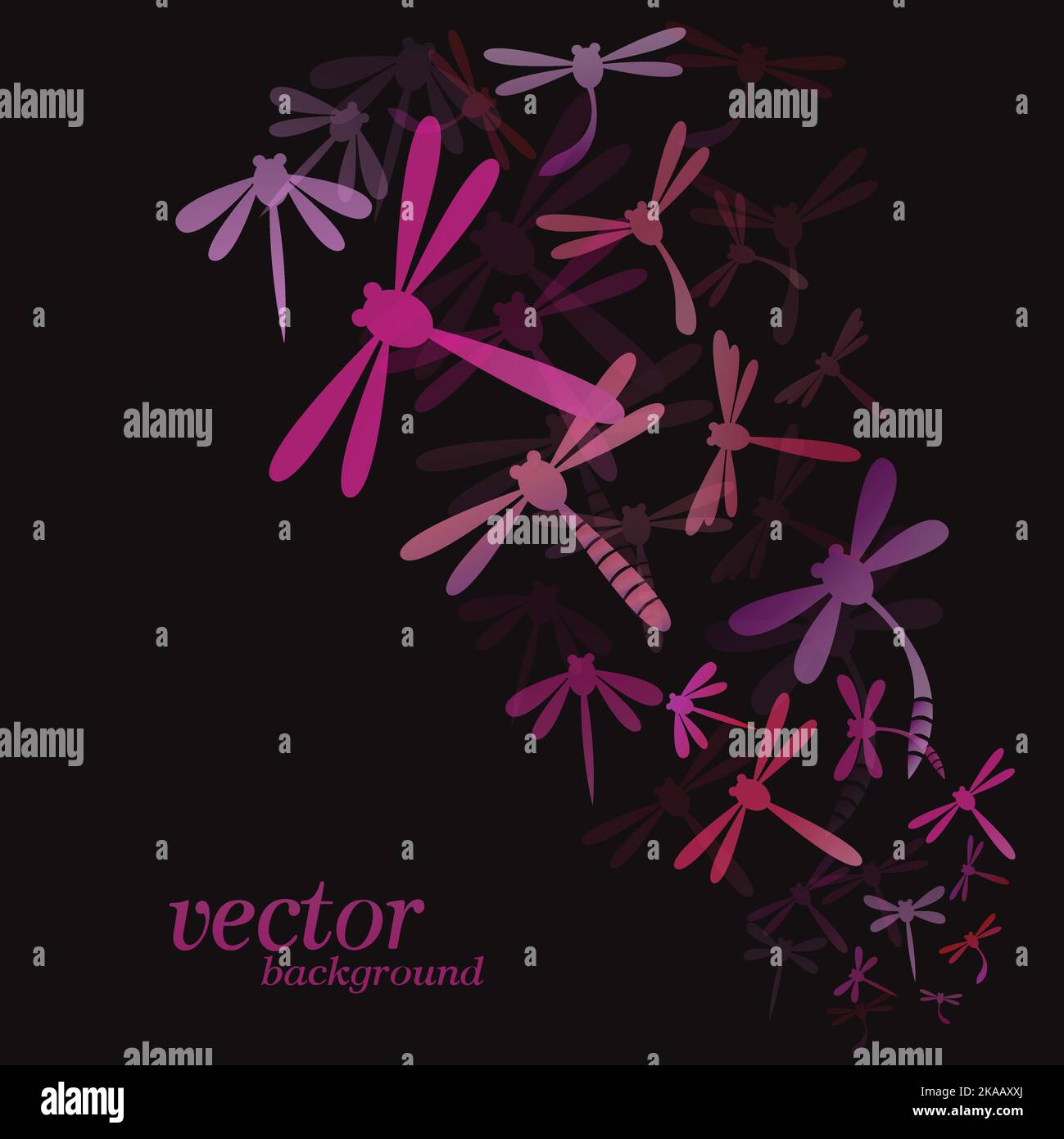 Dragonfly design on black background - Vector Illustration, Background ...