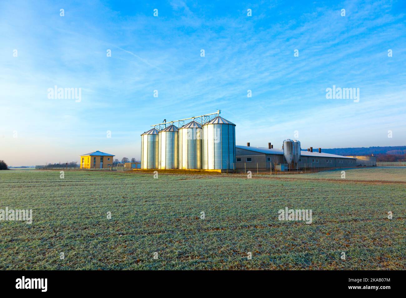 golden corn field in harvest with silo Stock Photo - Alamy