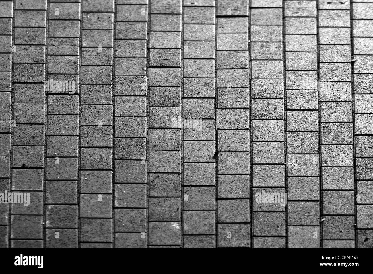 grey paving tiles in sunset Stock Photo