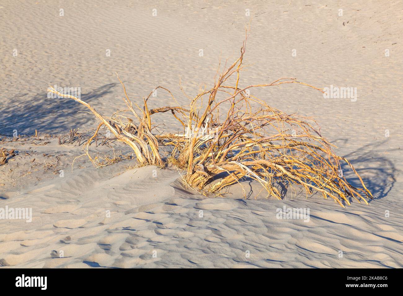 Death valley sand dune detail hi-res stock photography and images - Alamy