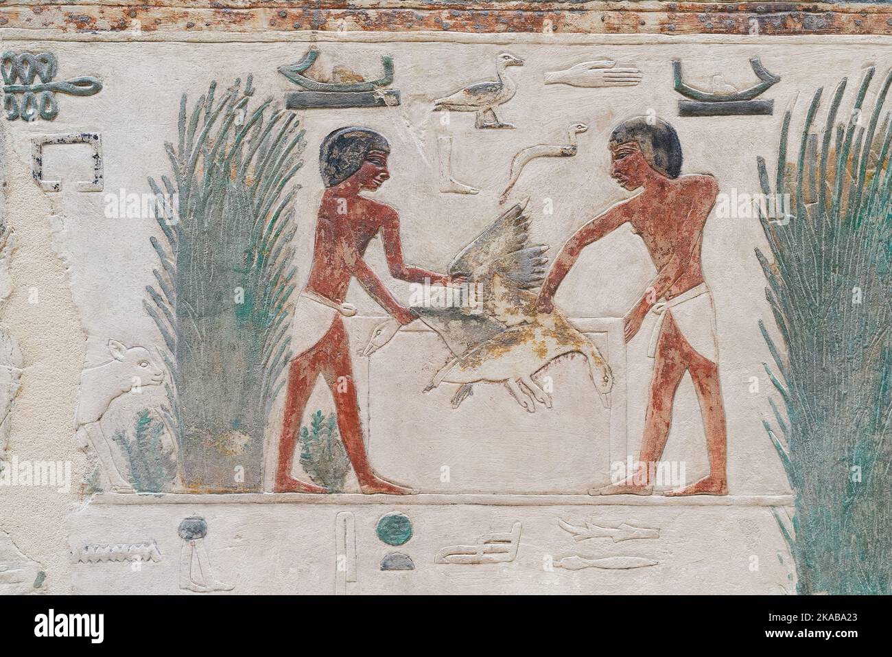 painted Egyptian limestone relief from the Old Kingdom, 5th dynasty with an agricultural scene Stock Photo