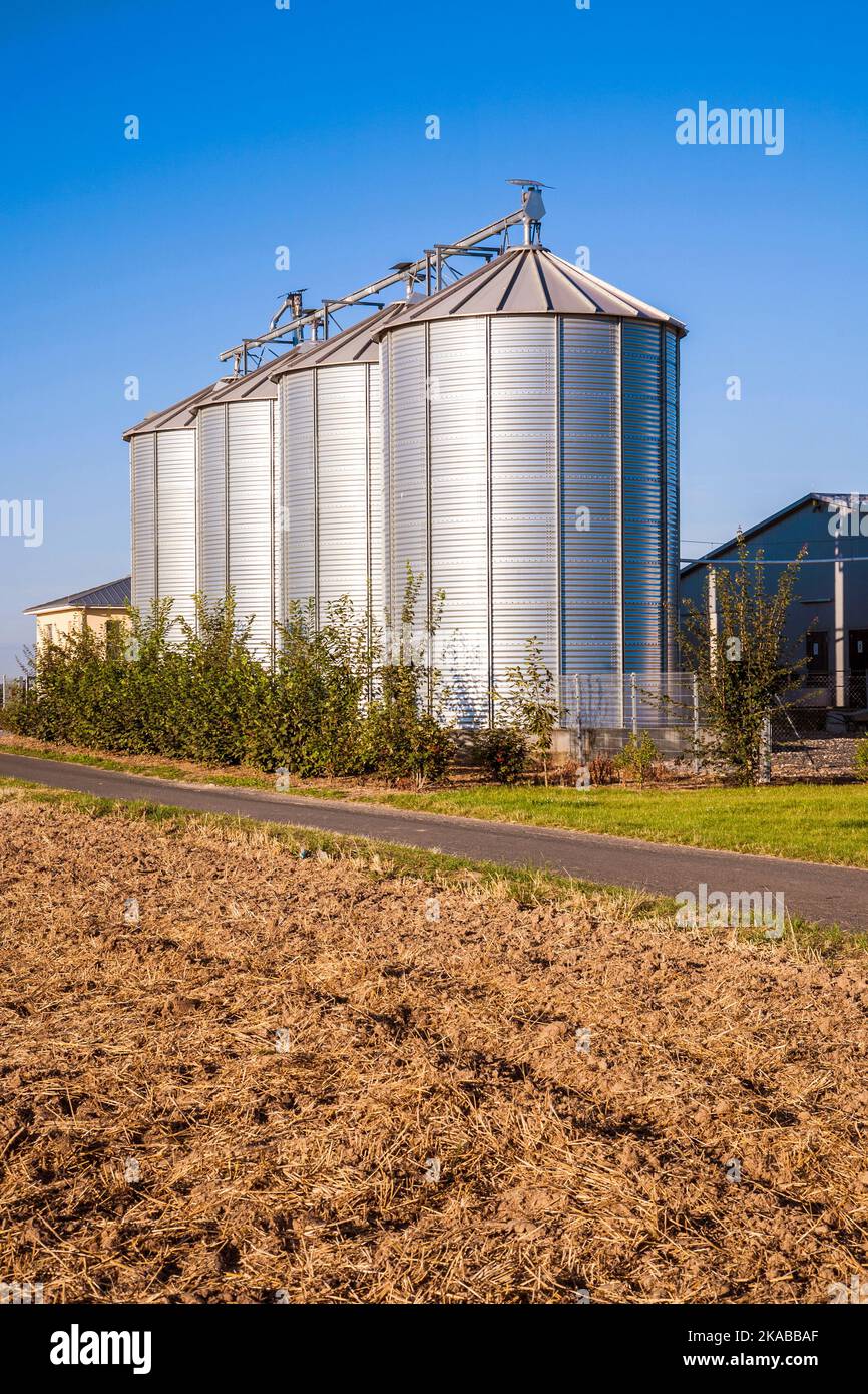 golden corn field in harvest with silo Stock Photo - Alamy