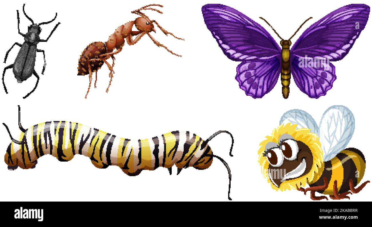 Set of different kinds of insects illustration Stock Vector Image & Art