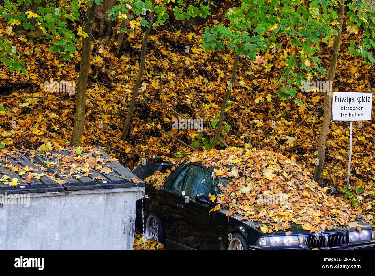 Car covered leaves hi-res stock photography and images - Alamy
