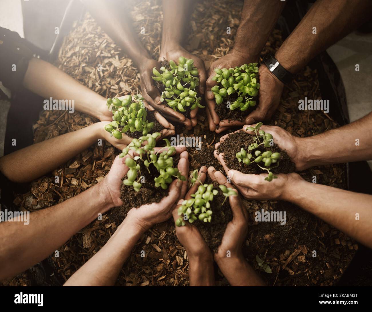 Green fingers and big hearts. a group of people holding plants growing