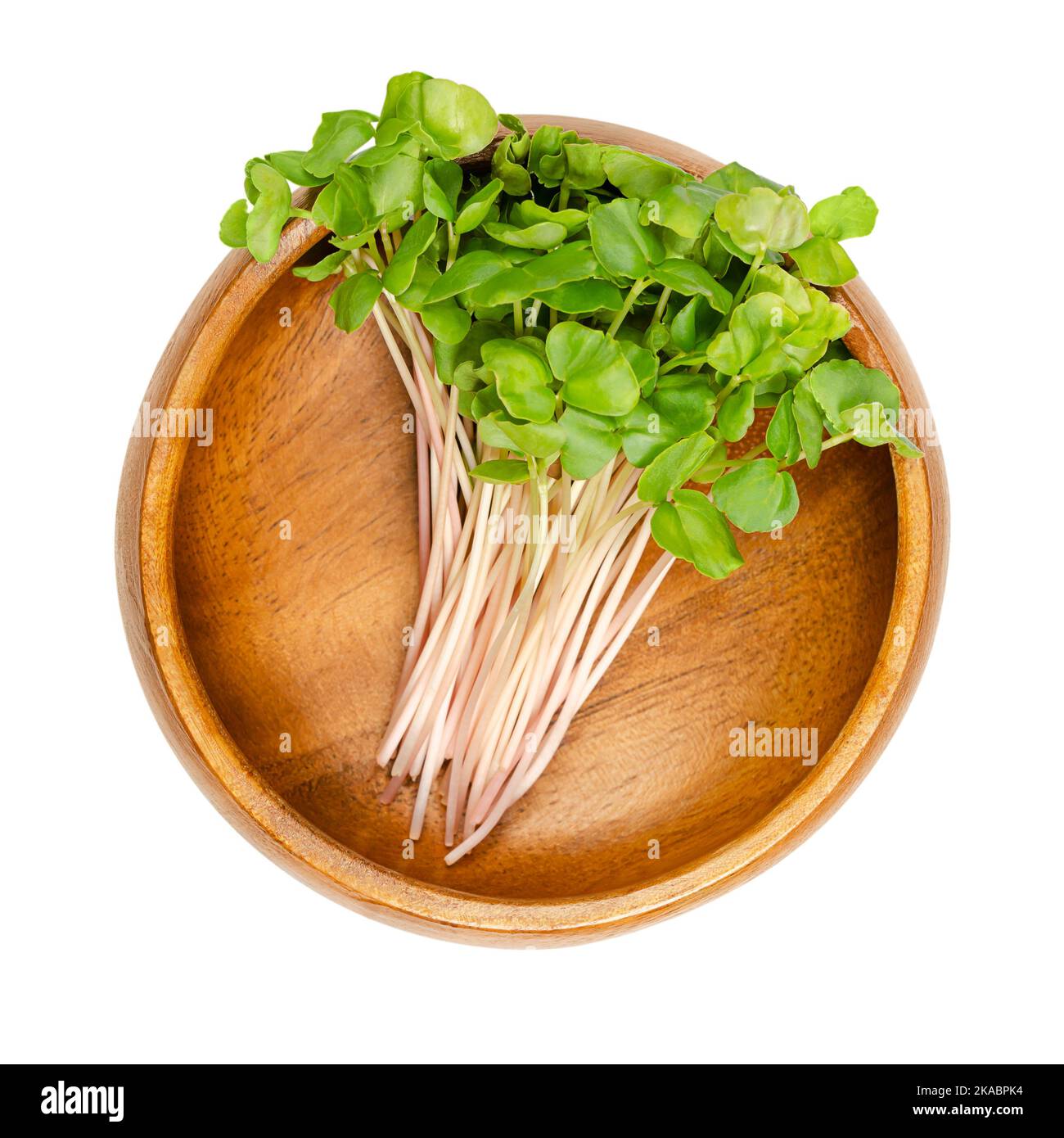 Common buckwheat microgreens, in a wooden bowl. Readytoeat sprouts