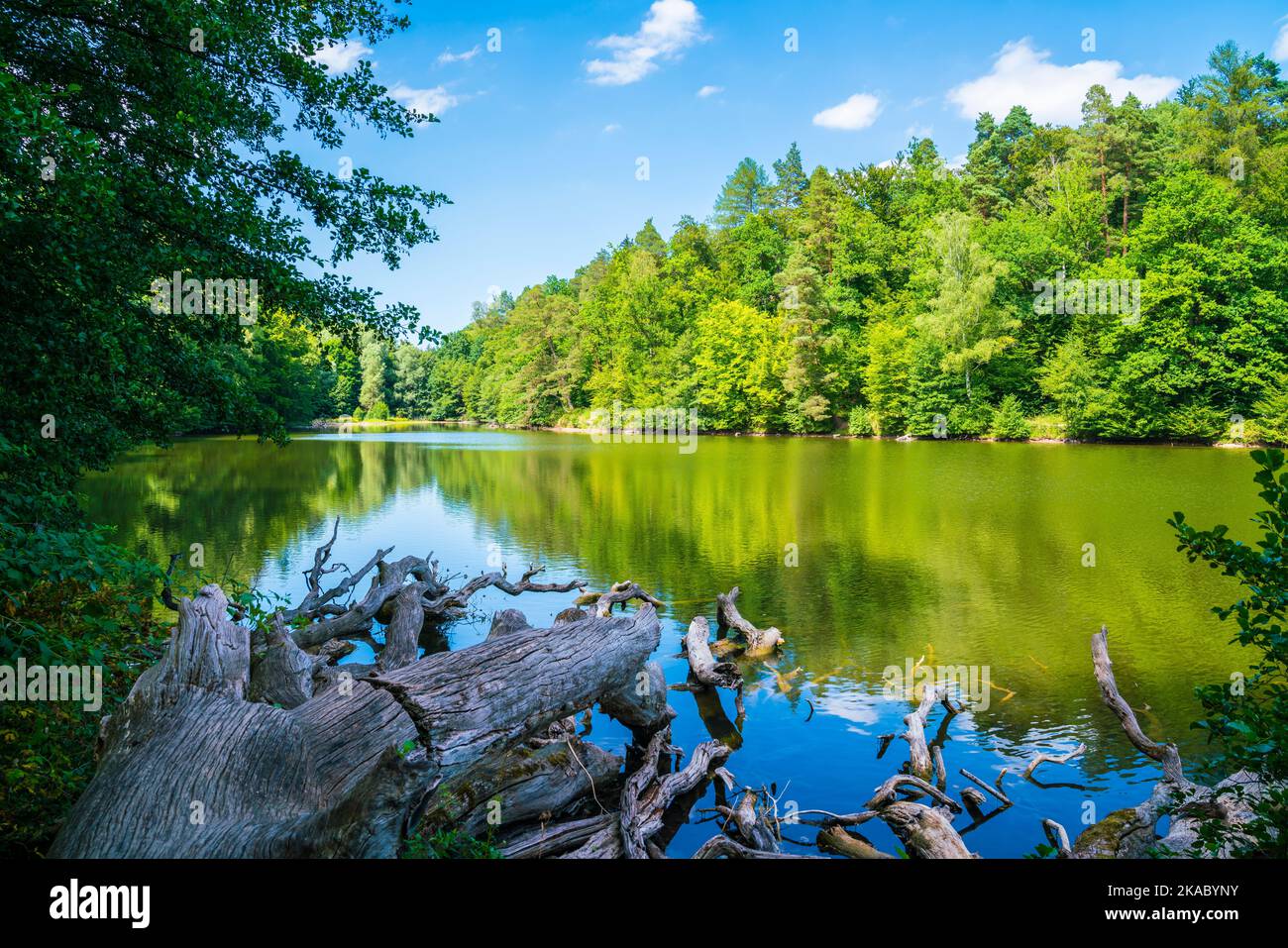 Germany, Stuttgart city park baerensee lake water reflecting green ...
