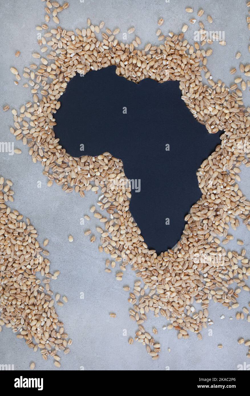 Global food and grain crisis, Black cut out shape of the African continent surrounded by grain Stock Photo