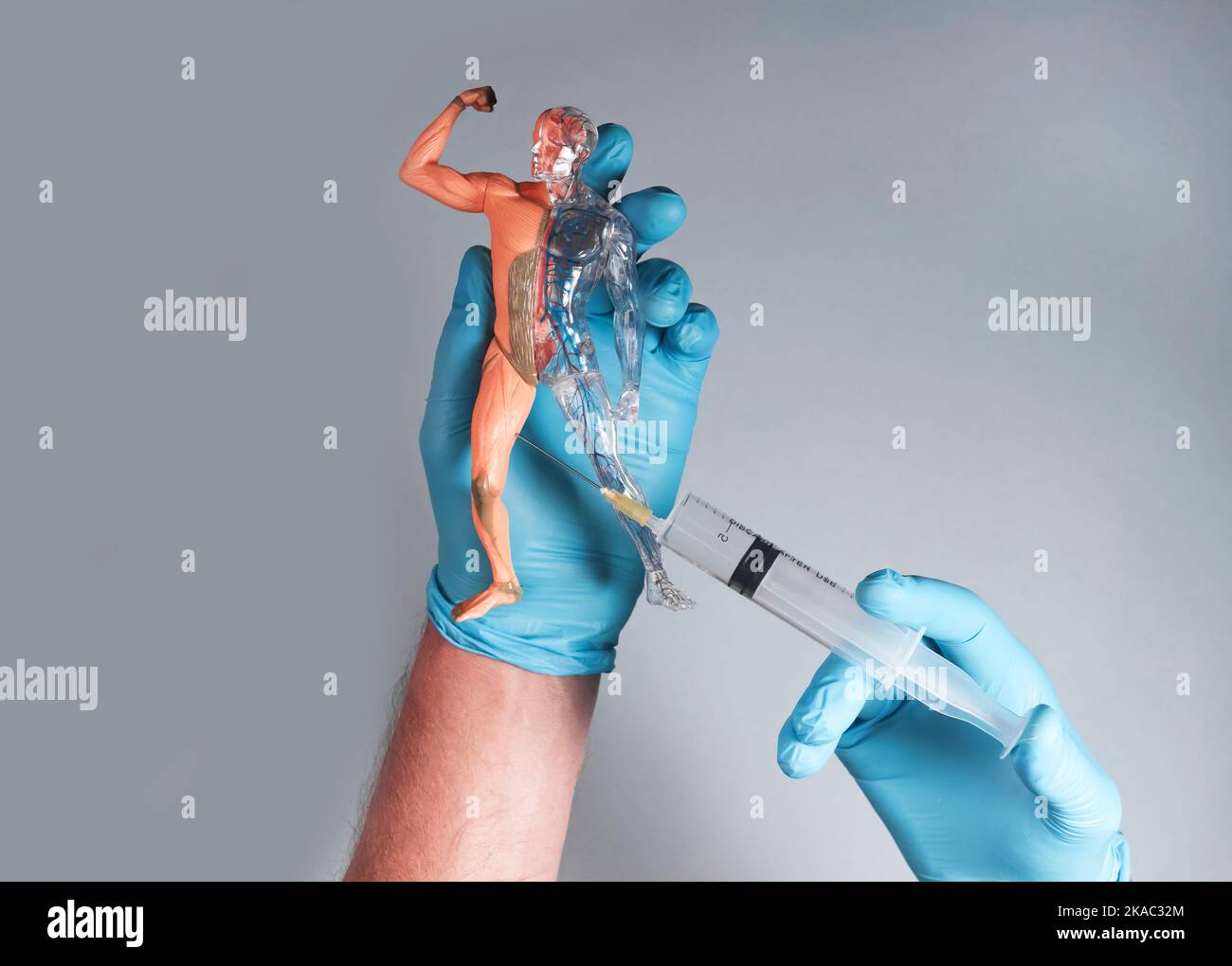 Injection shot in muscles of skinless body model Stock Photo - Alamy