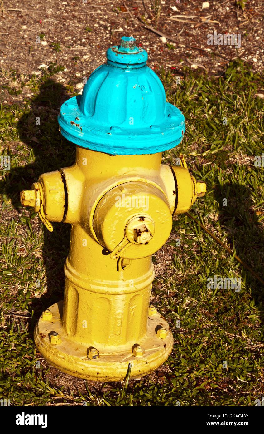 water hydrant for fire brigade in yellow and blue Stock Photo Alamy