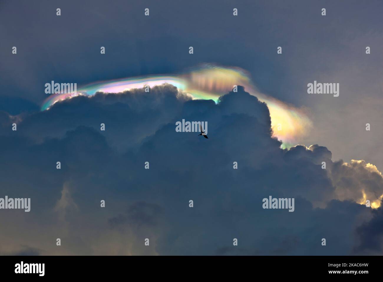 beautiful sky with clouds and colorful prisma light reflections Stock Photo Alamy