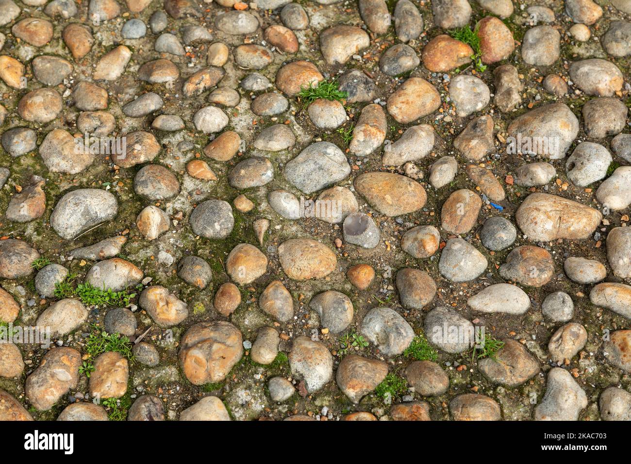 Cobblestone, Rye, East Sussex, England, Great Britain Stock Photo