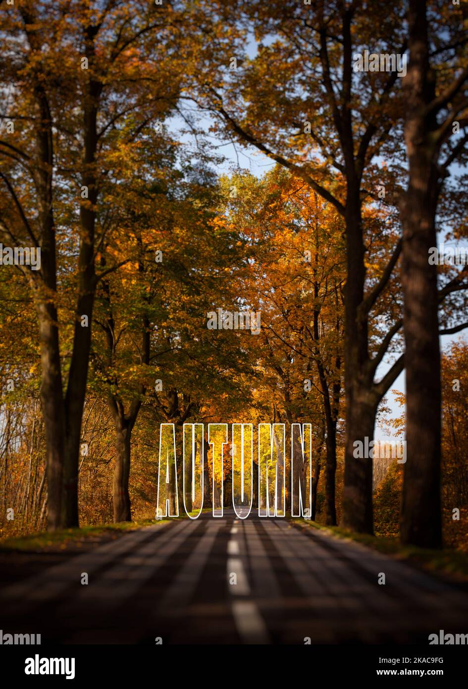Autumn scenery, asphalt road and 'Autumn' sign Deteriorating road conditions, concepts Stock Photo