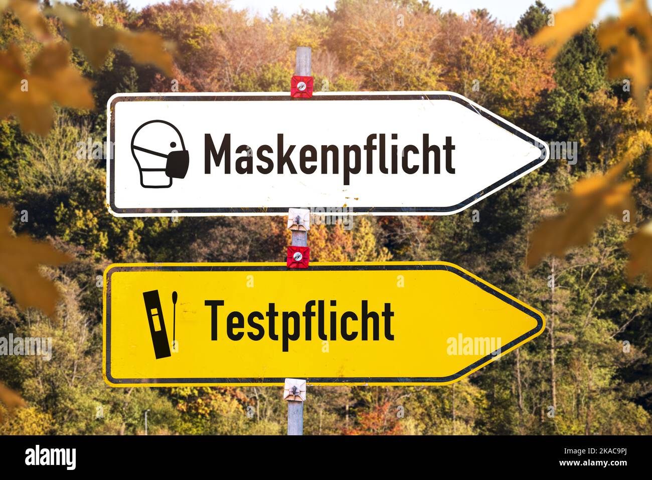 FOTOMONTAGE, Straßenschilder mit den Aufschriften Maskenpflicht und