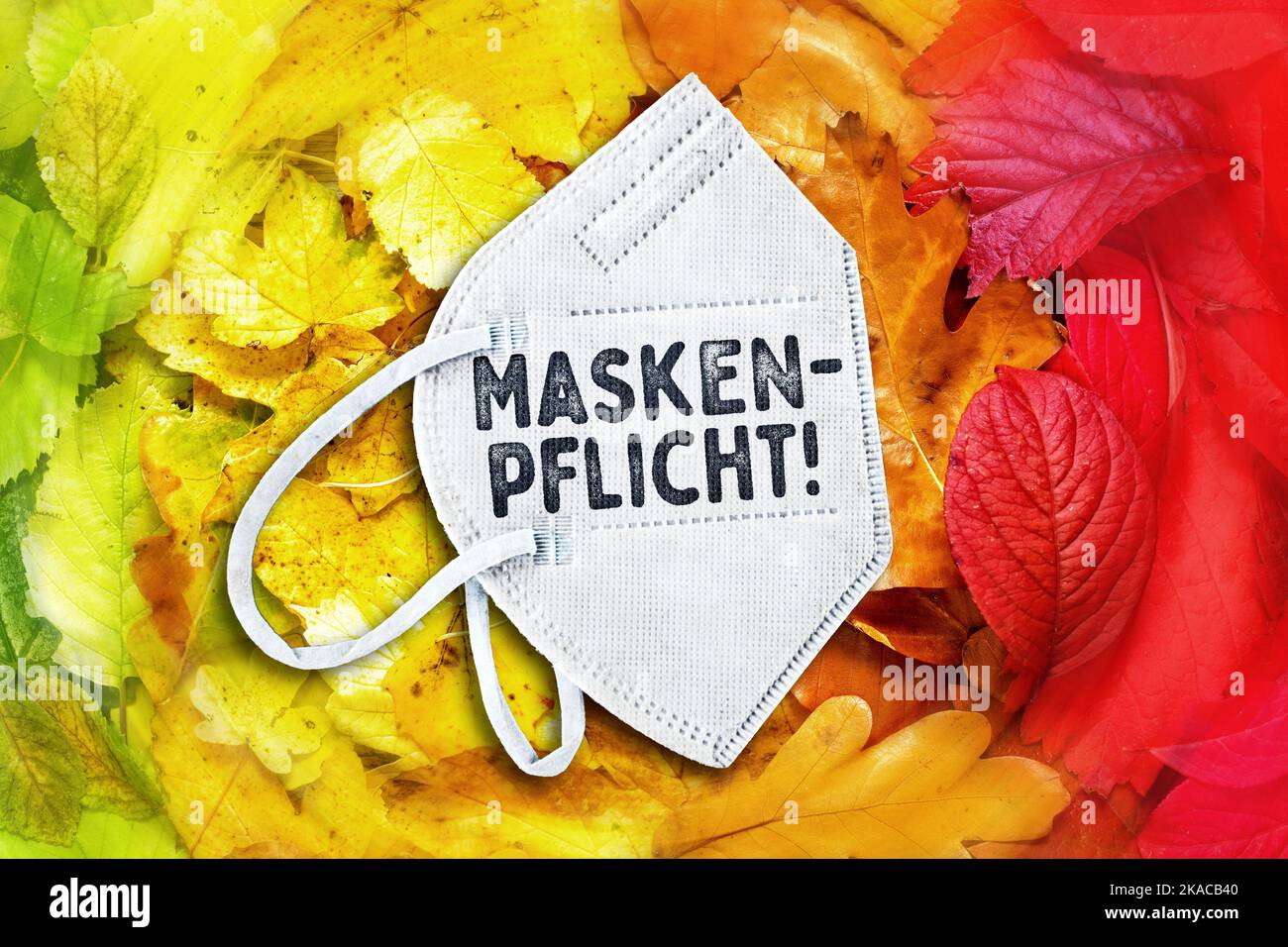 FOTOMONTAGE, FFP2-Maske auf Herbstlaub mit der Aufschrift Maskenpflicht Stock Photo