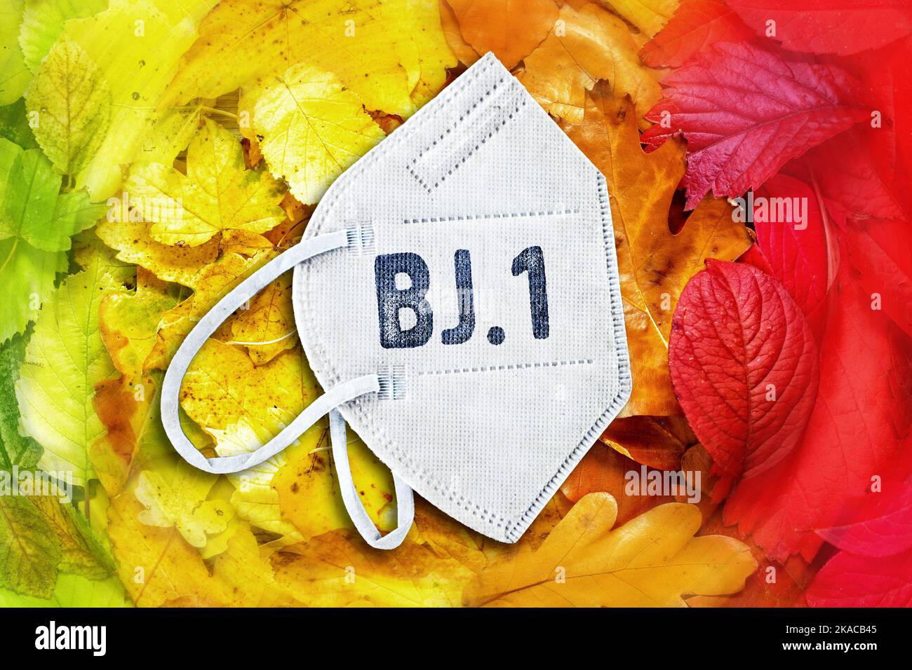 FOTOMONTAGE, FFP2-Maske auf Herbstlaub mit der Aufschrift BJ.1, Symbolfoto BJ.1 Omikron-Variante Stock Photo