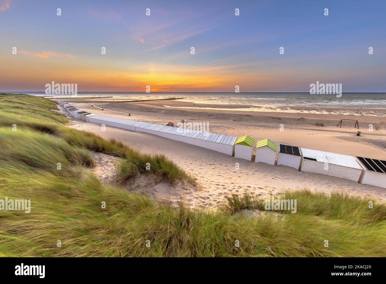 Beach houses on Westkapelle beach seen from the dunes in Zeeland at sunset, Netherlands. Landscape scene of nature in Europe. Stock Photo