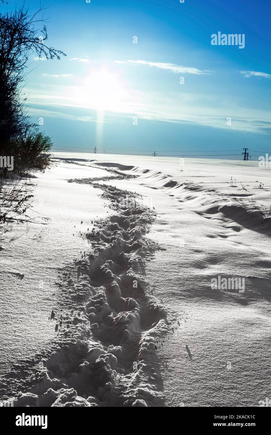 Agriculture field acre winter hi-res stock photography and images - Alamy