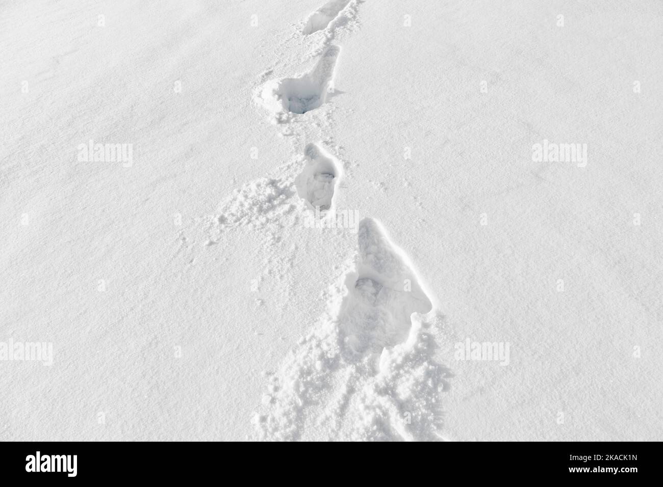 Footsteps on the snow in flat area Stock Photo Alamy