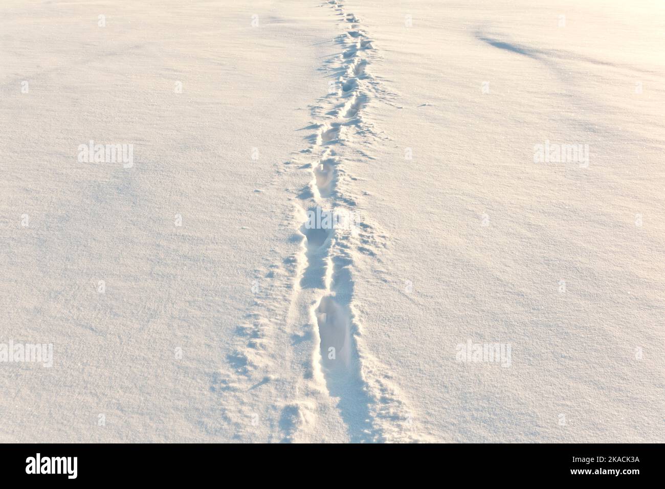 Snow Step Alpine step hi-res stock photography and images - Alamy