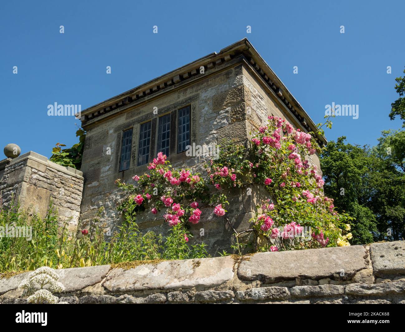 Haddon Hall, a medieval manor house dating from 11th century, Bakewell, Derbyshire, UK; climbing roses on the outside of a summerhouse Stock Photo