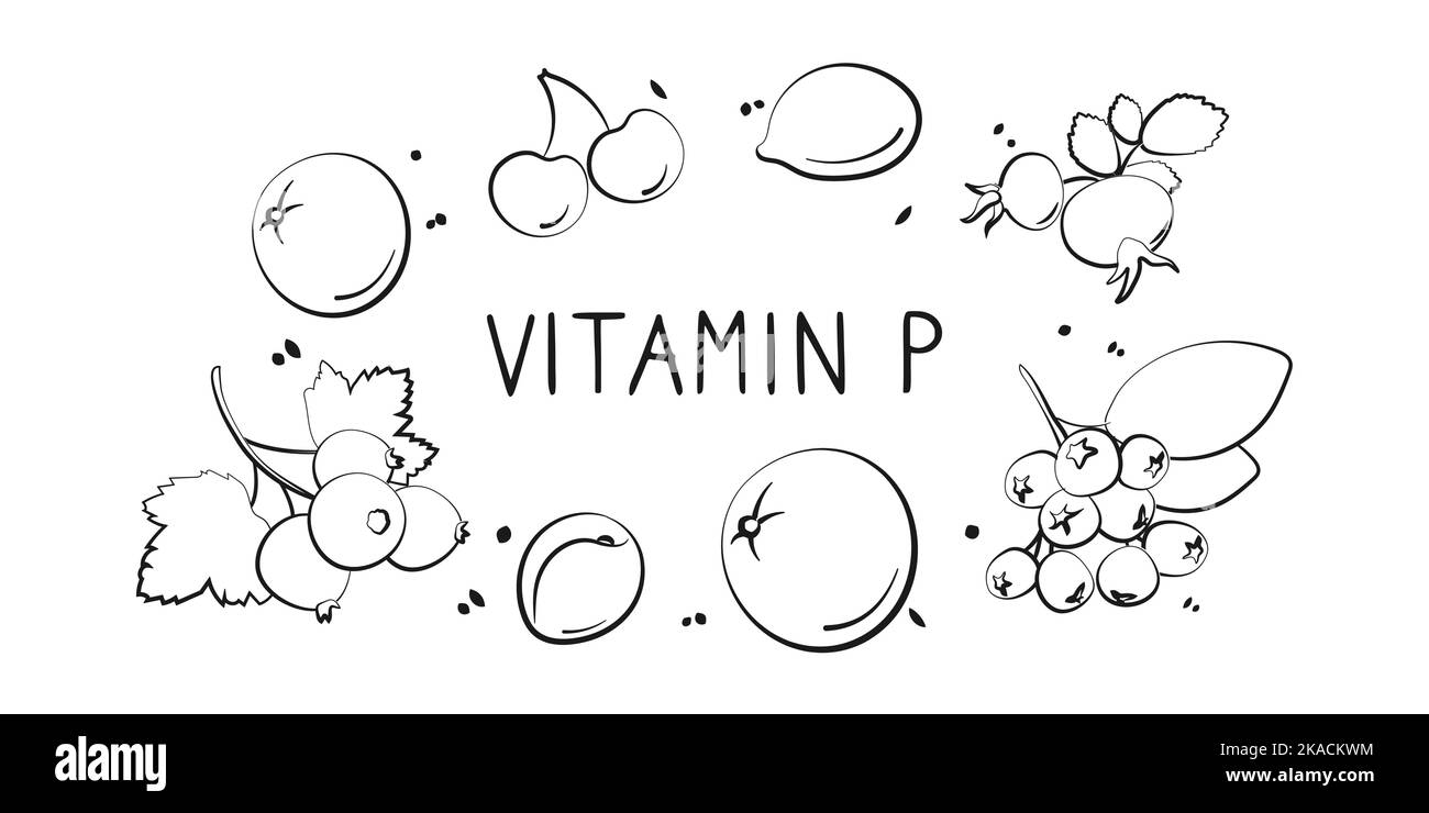 Vitamin P bioflavonoids. Groups of healthy products containing vitamins