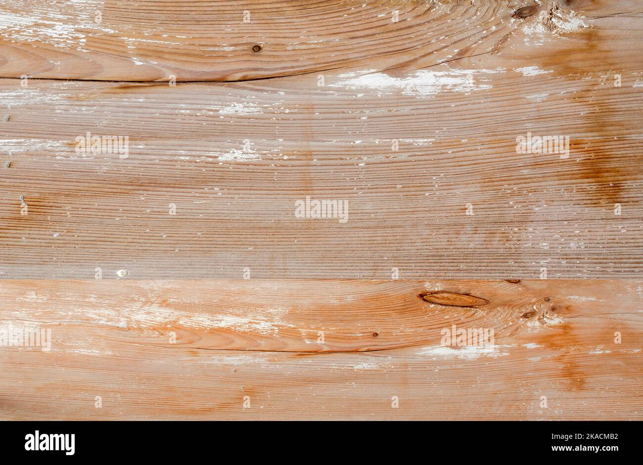 pine boards, texture of old natural wood shaded white in a rustic style from close range, wallpaper, background for graphic designs, flat lay Stock Photo