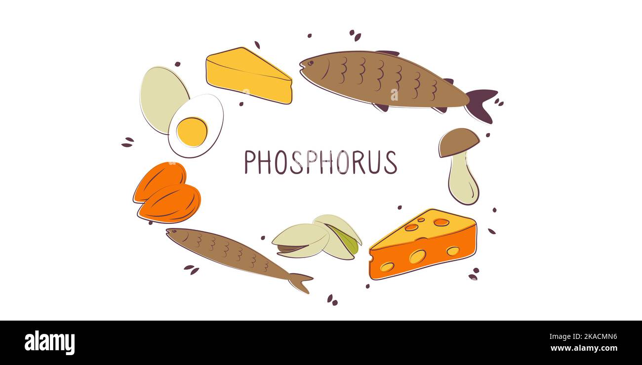 Phosphoruscontaining food. Groups of healthy products containing