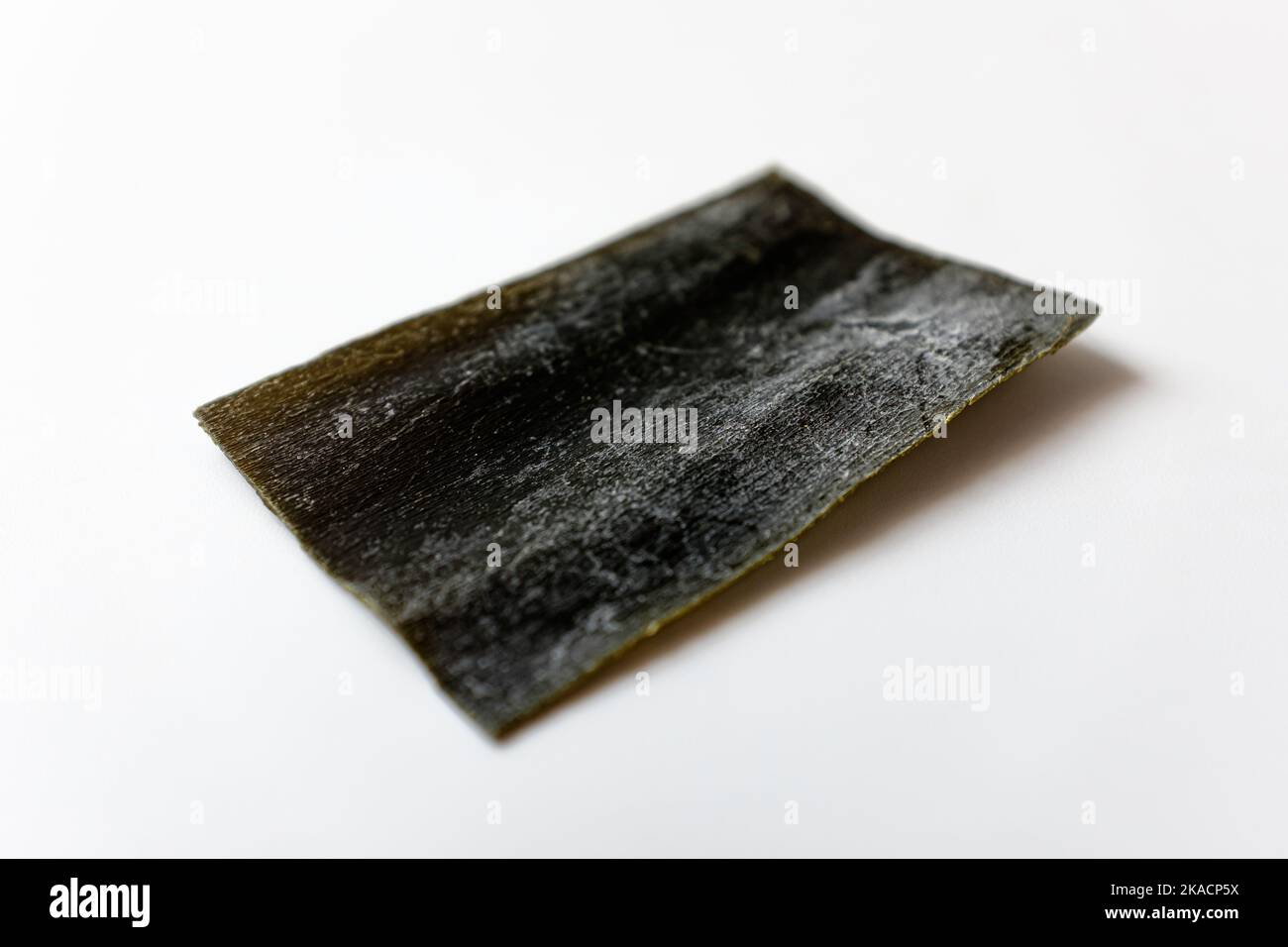 dried kelp on a white background Stock Photo Alamy